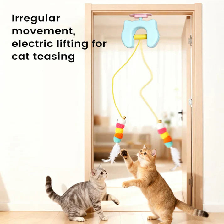 THE AUTOMATIC YO-YO TOY THAT DRIVES CATS WILD