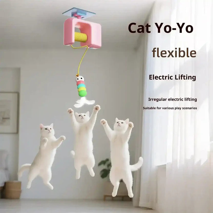 THE AUTOMATIC YO-YO TOY THAT DRIVES CATS WILD