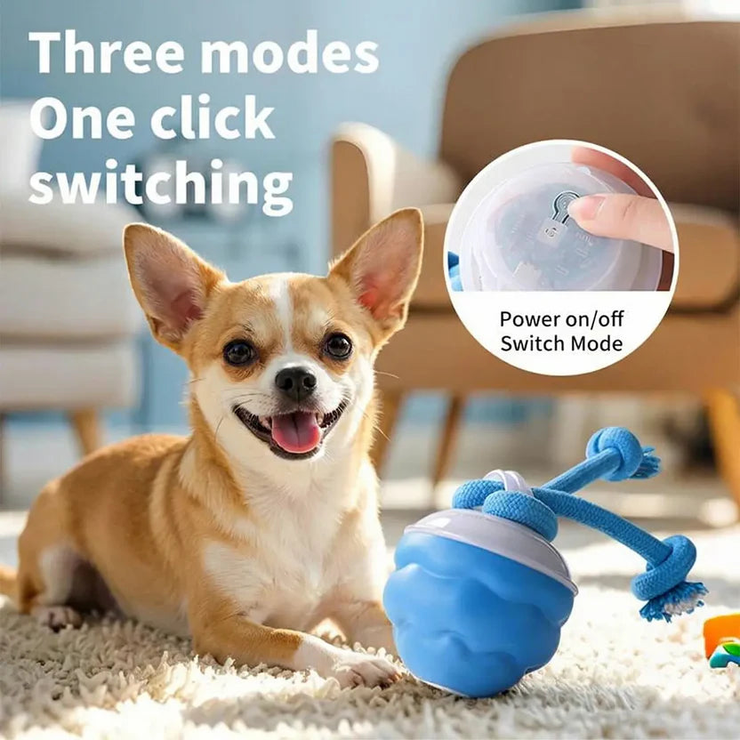 Interactive Dog Toys with Motion Activated, Squeaky Dog Toy Active Rolling Ball, Ball for Daily Training,Used for small dogs and cats , pet accessories, cute pet toys(2.95*2.95*4.33inch)