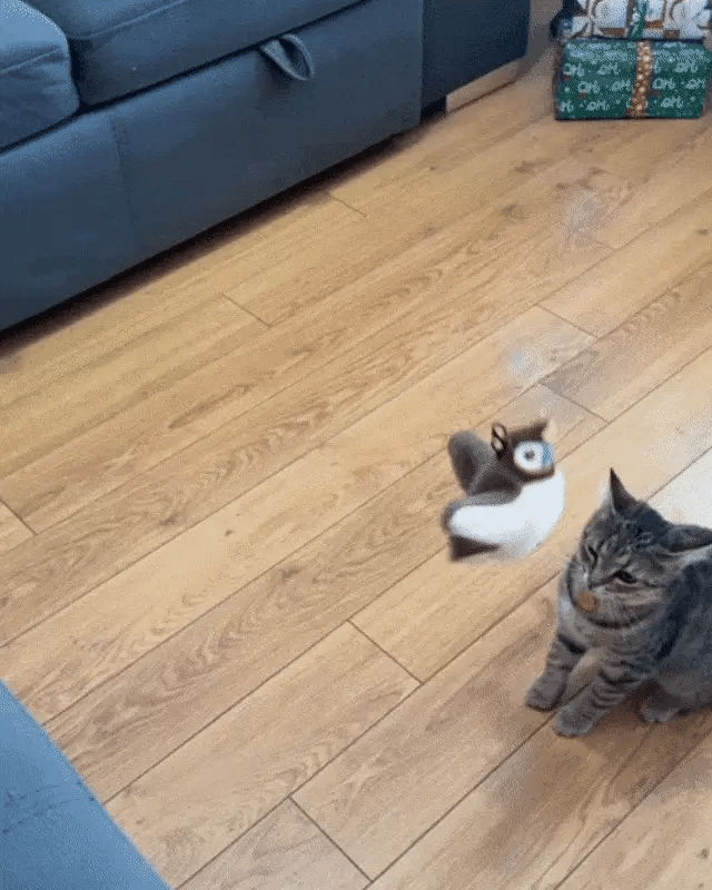 Uccellino Interattivo per Gatti